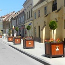 Rasina-Multicast12-02-Photoroom