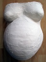 Fasa_gipsata_002