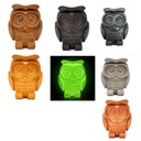 Owl_all1000x1000