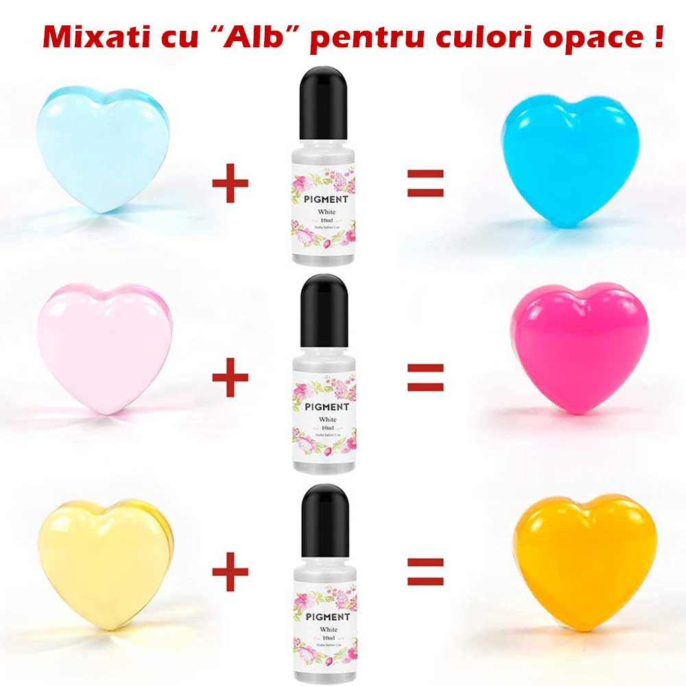 08-Colorant-Pigment-Rasina-KIT15-General