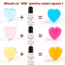 08-Colorant-Pigment-Rasina-KIT15-General