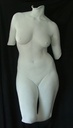 Alginate-Mulaj-Anatomie-Umana-(3)-Photoroom