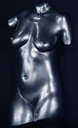 Alginate-Mulaj-Anatomie-Umana-(5)-Photoroom