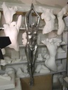 Alginate-Mulaj-Anatomie-Umana-(8)-Photoroom