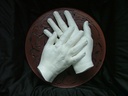 Alginate-Mulaj-Forma-Maninilor-(3)-Photoroom